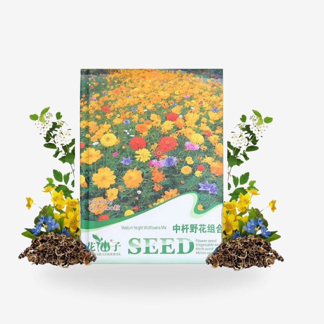 WhatsApp-Image-2024-08-10-at-14.57.22_1f2b47d1