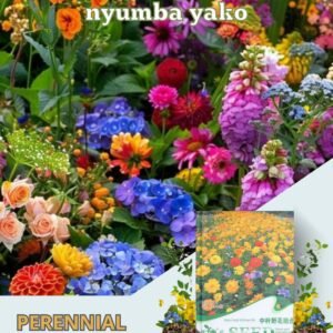 Flowering Mixed Perennial Wildflower Seeds ''Get (5) pieces for the price of (1)''