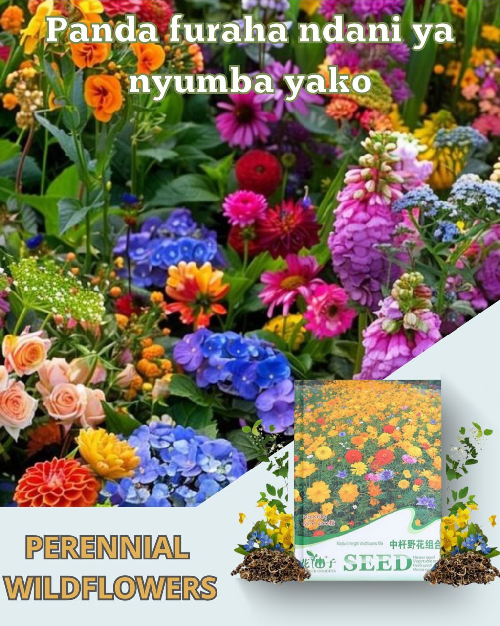 photo_5_2024-08-12_10-36-57