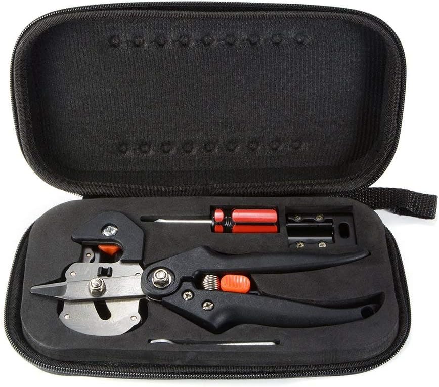 61CEh6D2JQL._AC_SL1000_