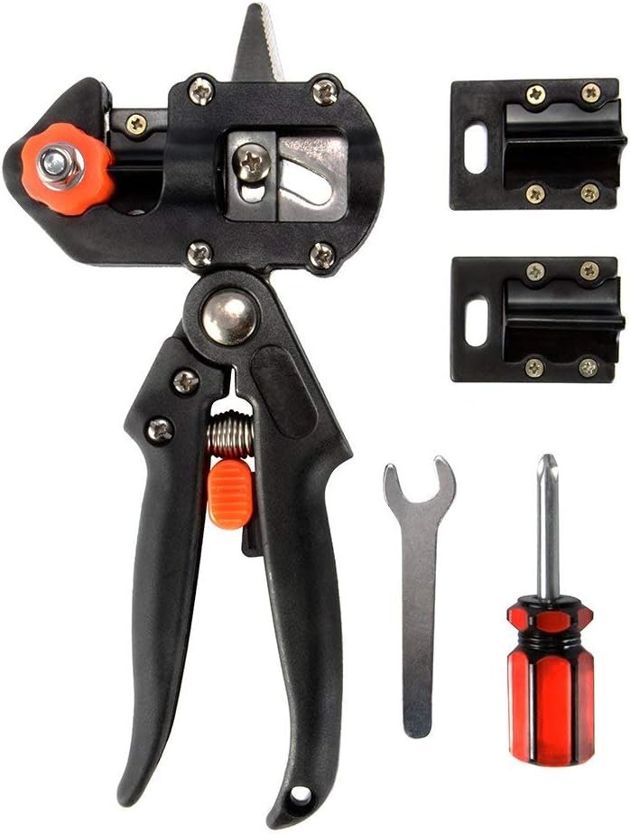 61DaZi92a5L._AC_SL1000_