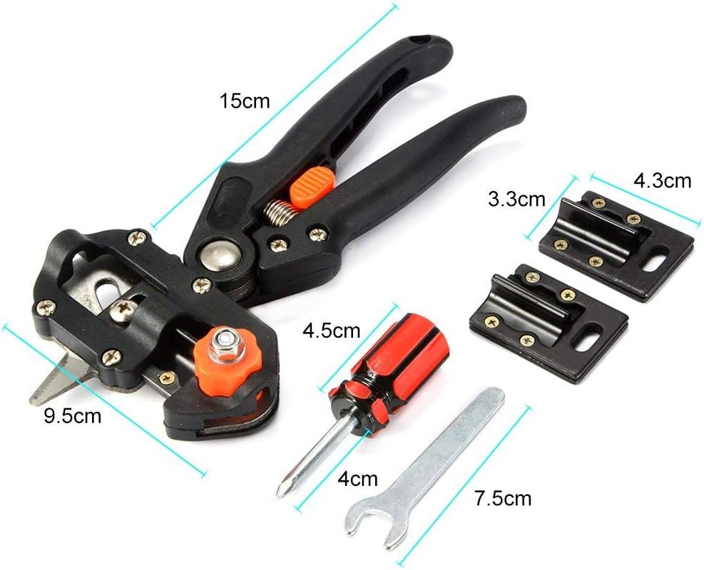 61dRhXfbWFL._AC_SL1000_