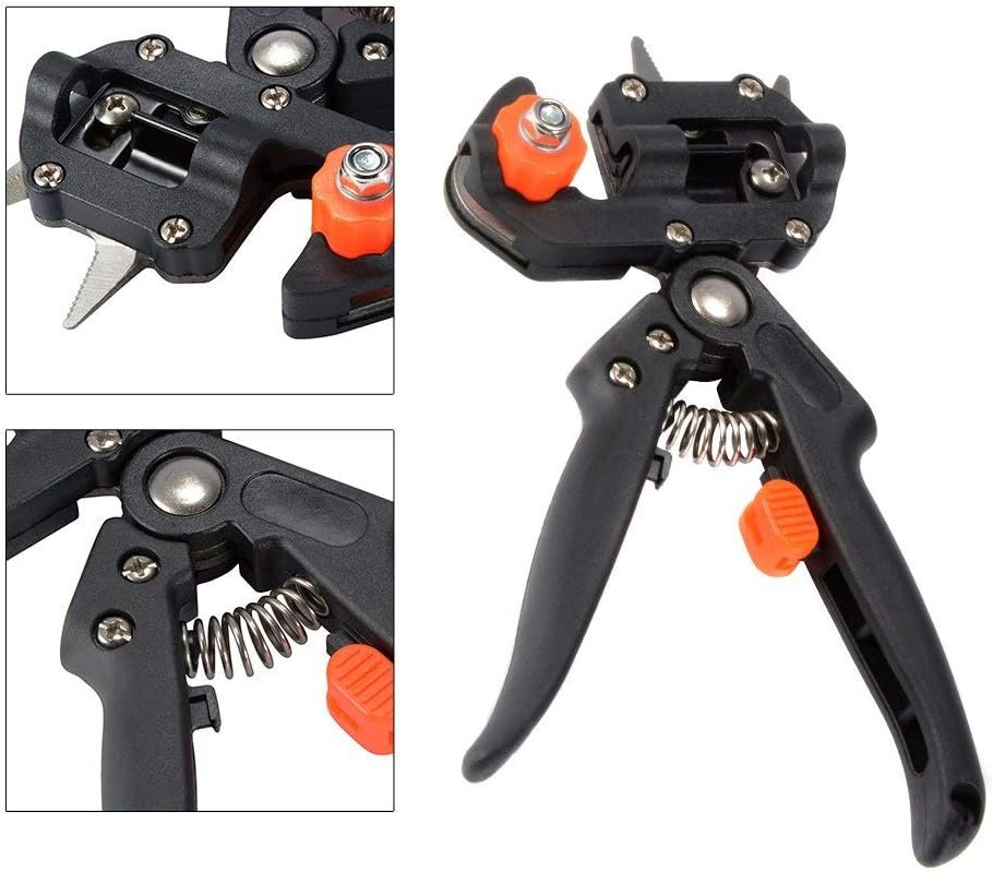 61fbDKTdHnL._AC_SL1000_