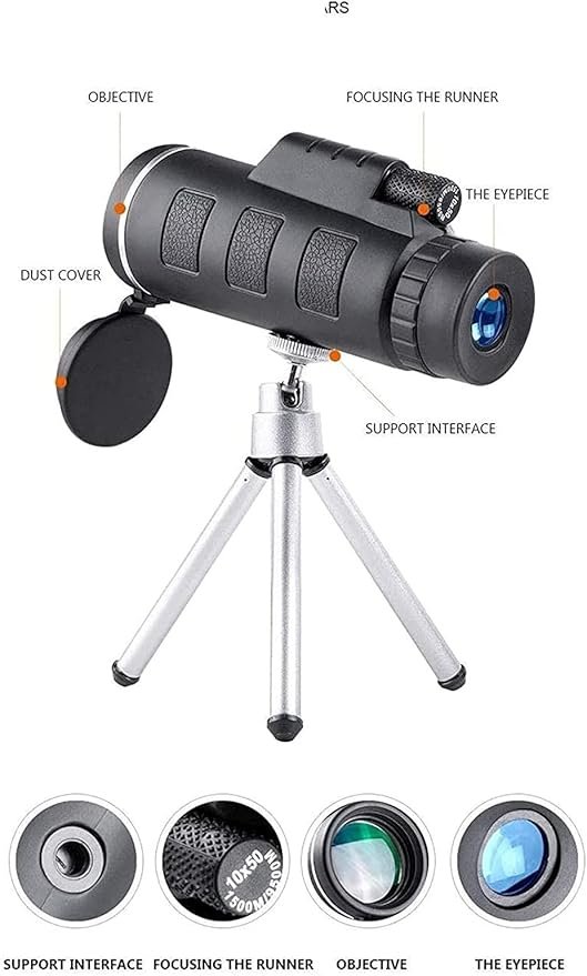 61sELGVC+wL._AC_SY879_