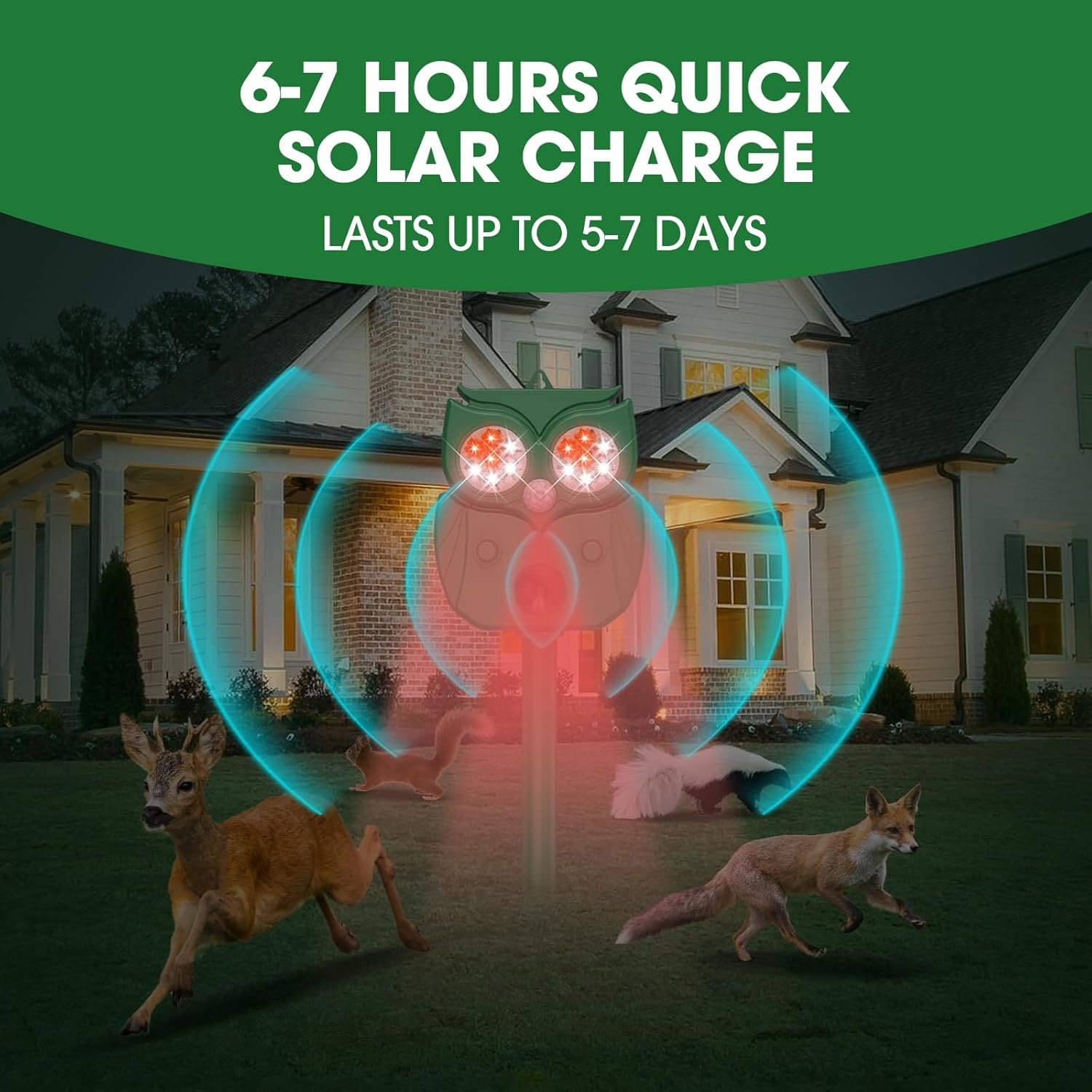 71aQhSsaRDL._AC_SL1500_