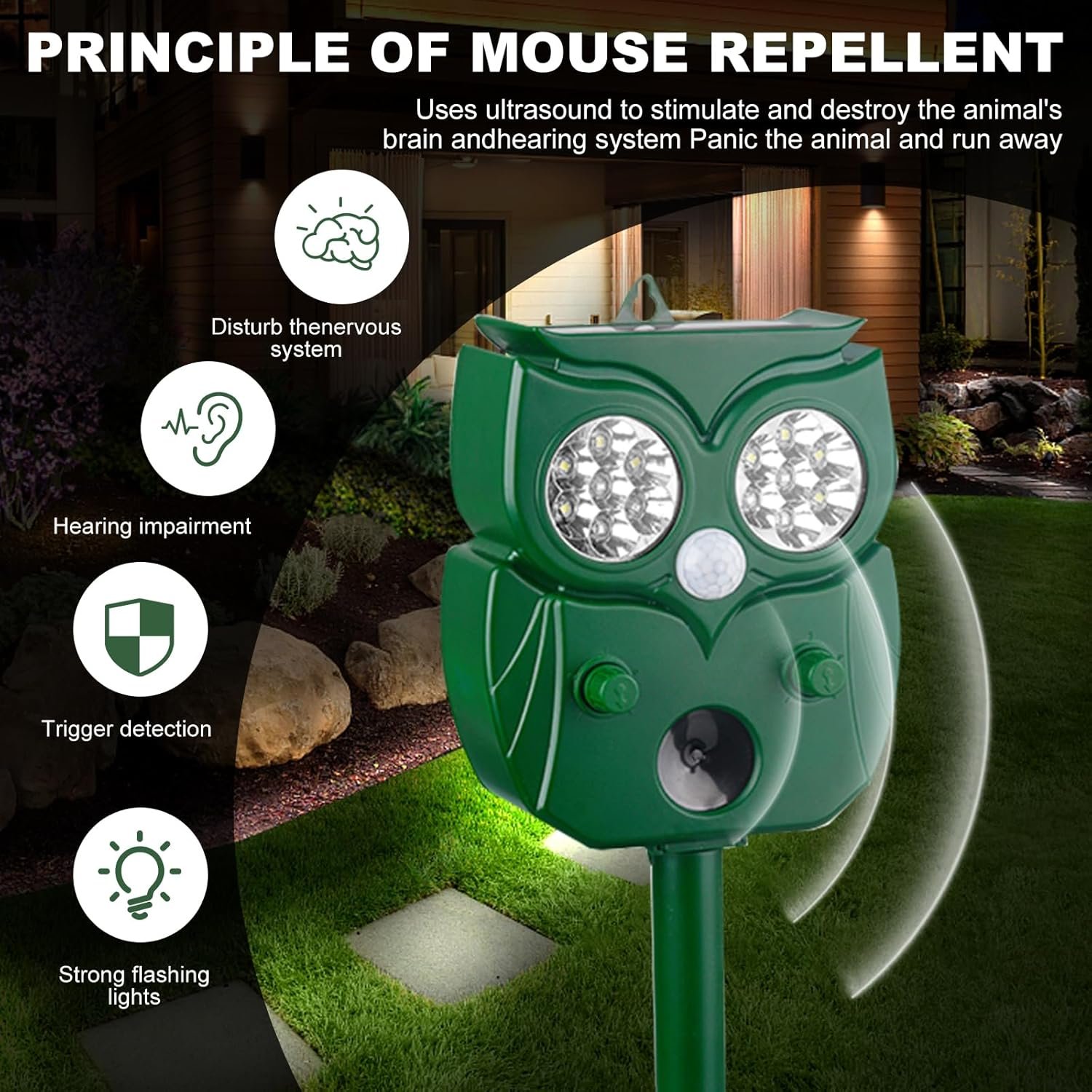 81wFK18F2GL._SL1500_